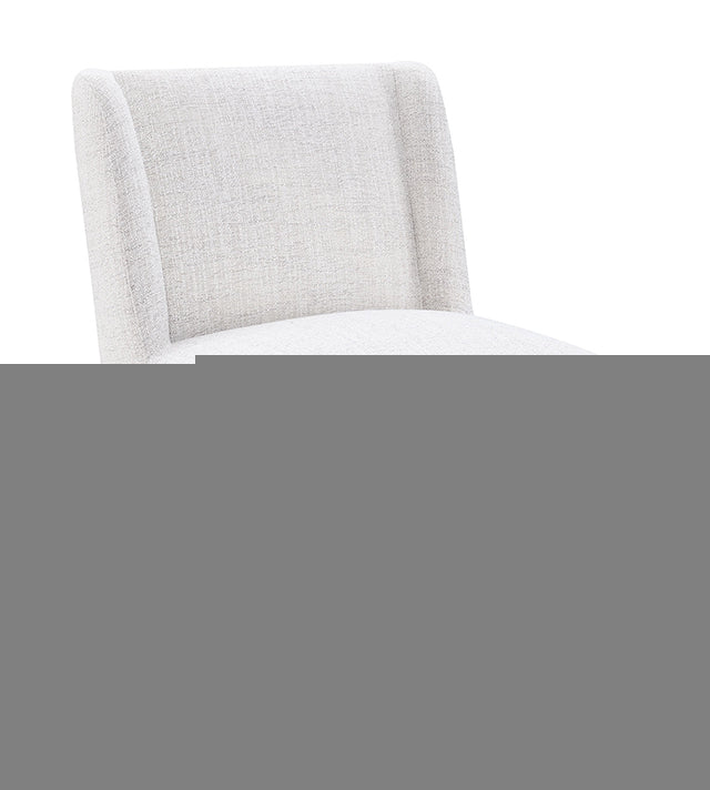 Fede Dining Side Chair (1/CTN)